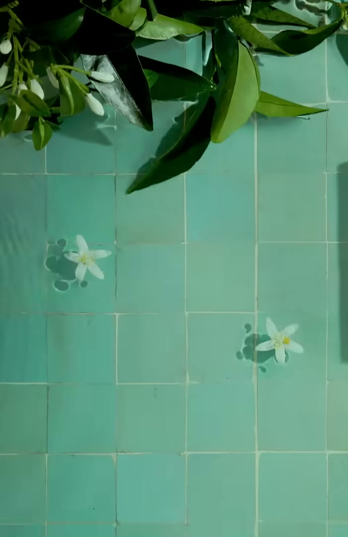 Fleurs d'oranger sur zellige : l'orientalisme de la maison
