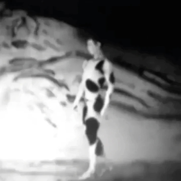 Afternoon of a Faun - Image 3