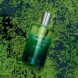 Ex Vetiver, visuel 4