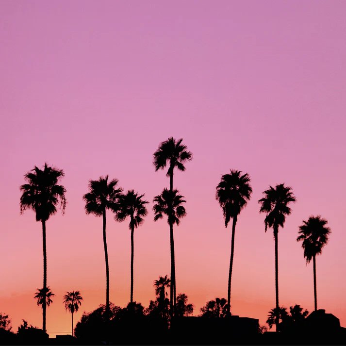 you or someone like you - Image 5