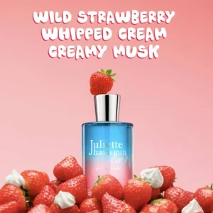 Miami Shake, visuel 2