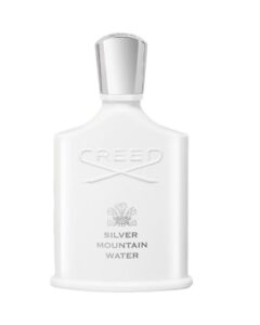 Silver Mountain Water